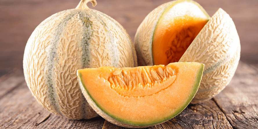 March 2023: Honey Rock Melons | Alameda County Library