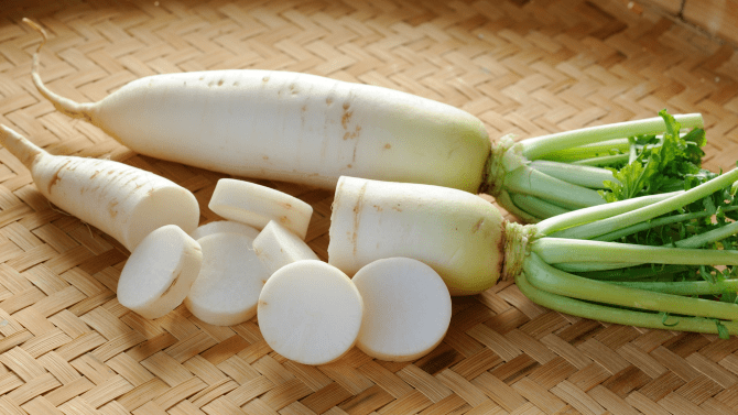 October 2024: Daikon Radish | Alameda County Library